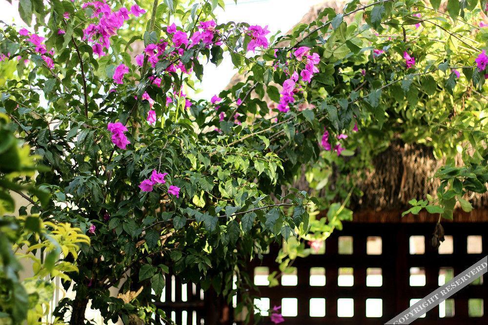 Howlita Tulum - Adult Only Exterior photo